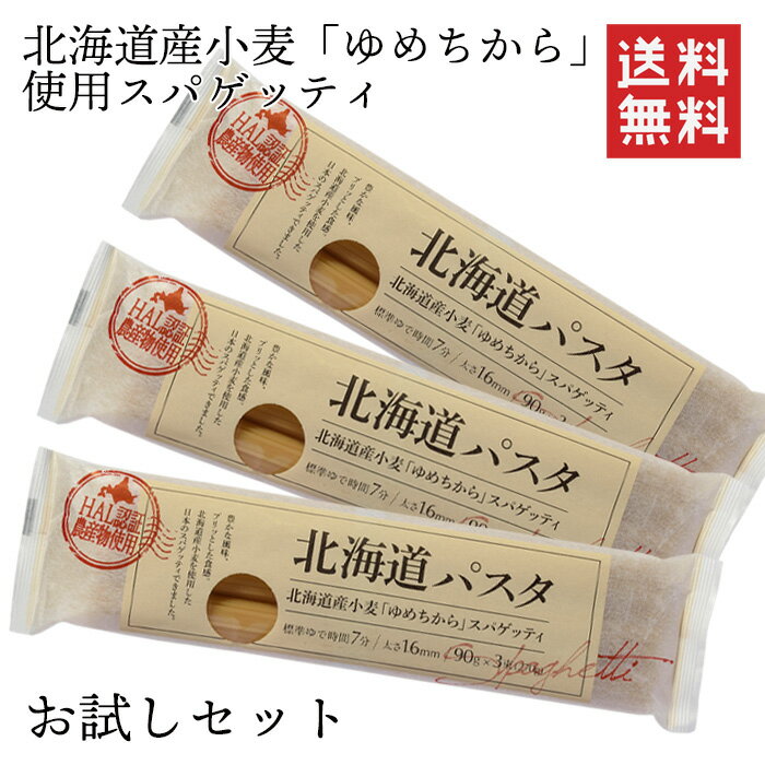 【1000円ポッキリ】【送料無料】赤城食品 北海道パスタ 270g×3 お試しセット パスタ 1.6mm 北海道産小麦使用 ゆめちから 乾麺 国産パスタ ネコポス ポスト投函のサムネイル