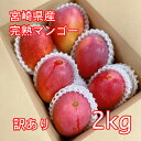 宮崎県産 完熟マンゴー 5-6玉 2kg 訳あり アップルマンゴー 熱帯果実 産地直送 産直 加工用 赤池農園 中元 お祝い 残暑見舞い 家庭用 自宅用 旬 期間限定 冷蔵 お徳