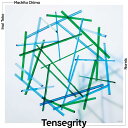 Tensegrity (初回限定盤)(アクリルキーホルダー) [ Nornis ]