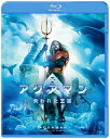 【Blu-ray】【新品】 アクアマン/失われた王国 Blu-ray 佐賀