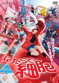 【DVD】【予約】 はたらく細胞(通常版) DVD 永野芽郁/佐藤健