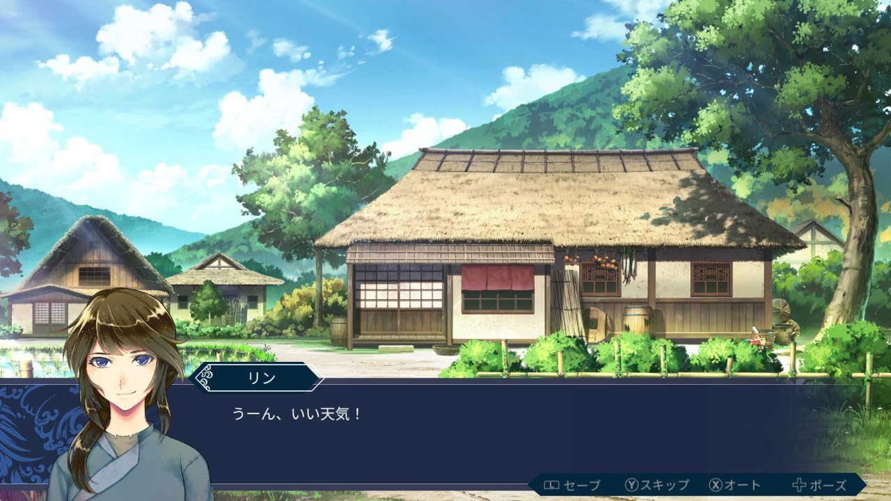 【新品】 Mizuchi Nintendo Switch 佐賀