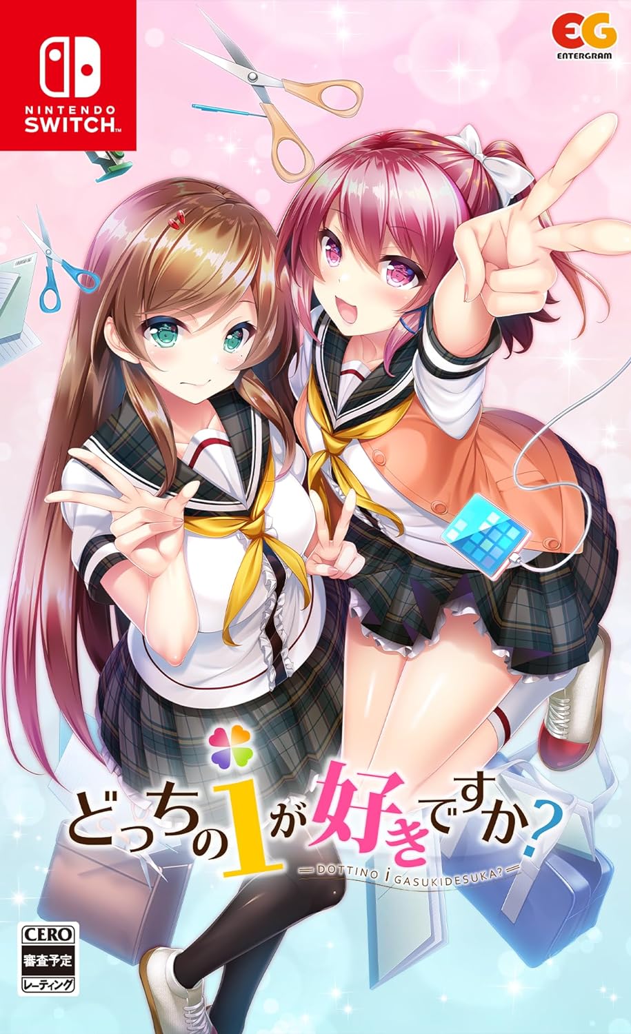 【新品】 どっちのiが好きですか? Nintendo Switch 倉庫