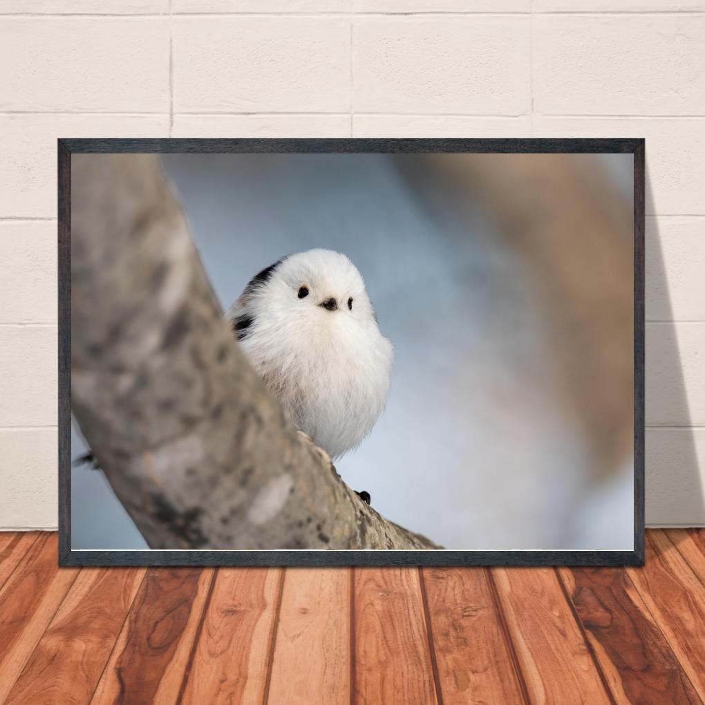 【送料無料】A4・A3ポスター【冬のシマエナガ】小鳥 かわいい イラスト アートポスター A4サイズ 壁飾り 模様替え インテリア カフェ ンスタグラム インスタ映え m1