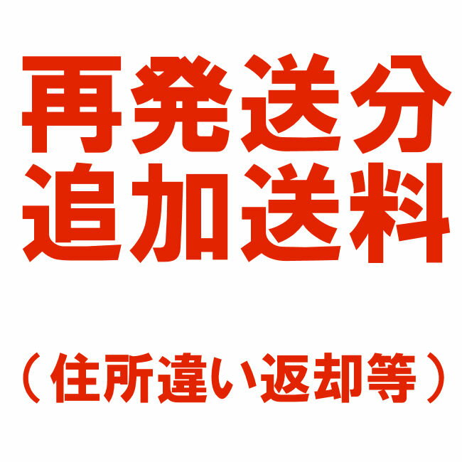 追加送料(ゆうパケット厚等)再発送等 返送 住所間違いの商品画像