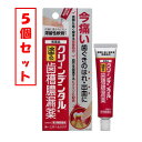 【メール便】【5個セット】【第3類医薬品】クリーンデンタルN(16g)【クリーンデンタル】
