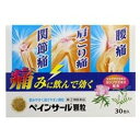 【第(2)類医薬品】★ペインサール顆粒　30包