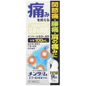 メンタームエプールFE液プラス 100mL 【第2類医薬品】
