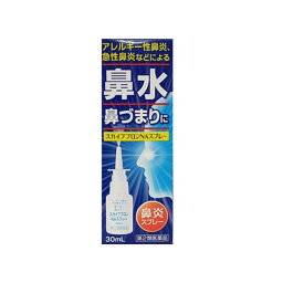 【第2類医薬品】★スカイブブロンNAスプレー 30ml （点鼻薬）