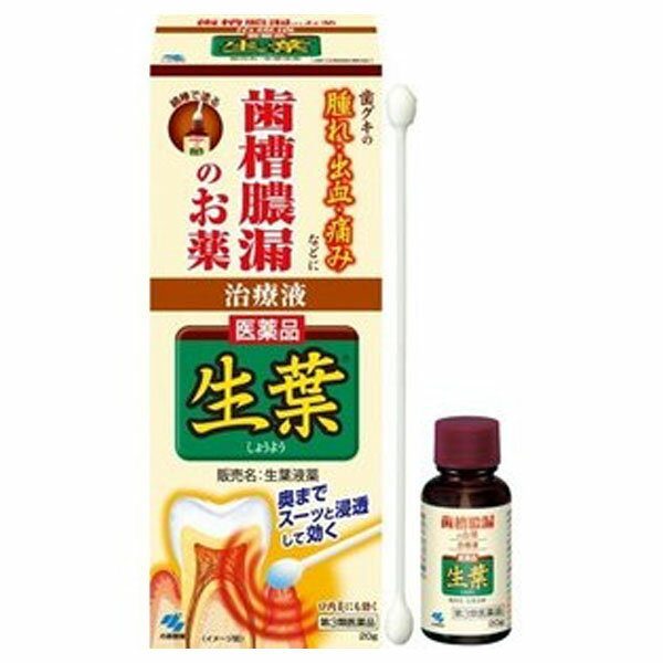 【第3類医薬品】小林製薬 生葉液薬(20g)【生葉】