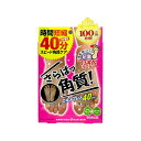 【ネコポス】足裏ランランエキスプレス 30ml × 2(1回分) ローションパック 角質除去 足 かかと 角質ケア 足裏シート フットケア つるすべ