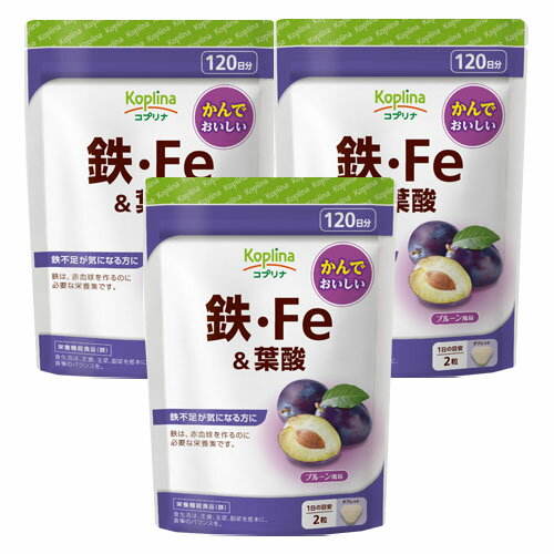 【3個セット 送料無料】マグナス 噛んで食べられる健康サプリ 鉄・Fe＆葉酸 240粒 120日分 水なしで栄養補給 タブレット チュアブル 貯蔵鉄 鉄分 鉄活 プルーン風味 おいしい サプリメント 栄養補助食品 安心国内製造 コプリナ ネコポス