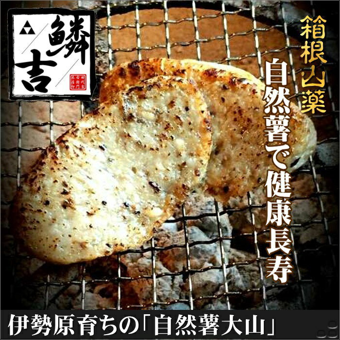 海と山の恵み詰合せ/創業天明元年「小田原かまぼこ発祥の店うろこき」のおいしいかまぼこ《送料無料あす楽GIFT練り物》