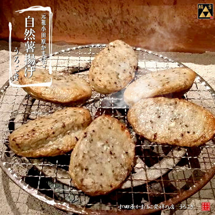 小田原鱗吉箱根山薬自然薯揚げ2個セット◎小田原老舗のおいしいかまぼこご贈答ギフト