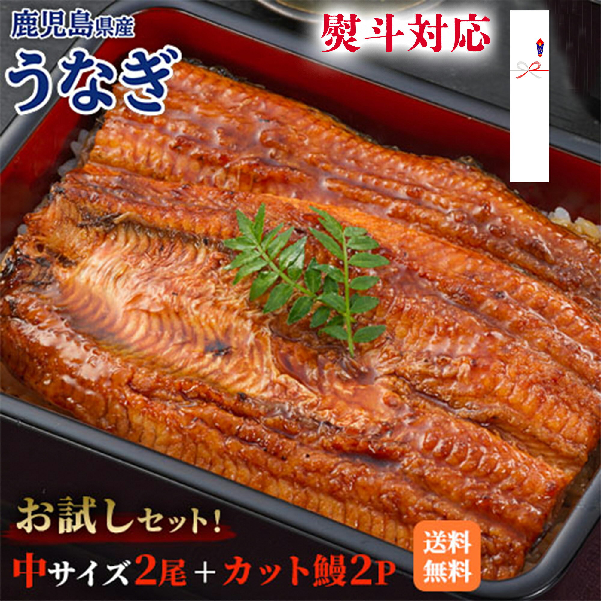 【父の日 ギフト】国産うなぎ お試しセット 2尾 カットうなぎ50g×2袋＋たれ 山椒付 国産（鹿児島県産） うなぎ蒲焼（中/約125g） 丑の日 土用丑 土用 うしのひ かば焼き ギフト ふっくら 柔らか 鰻 ひつまぶし うな丼 うな茶漬け 国産 熨斗対応 ウナギ