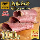 【鳥取和牛】 和牛ジャーキー 100g 【 加工品 和牛 国産牛 国産 牛肉 ご挨拶 新生活】