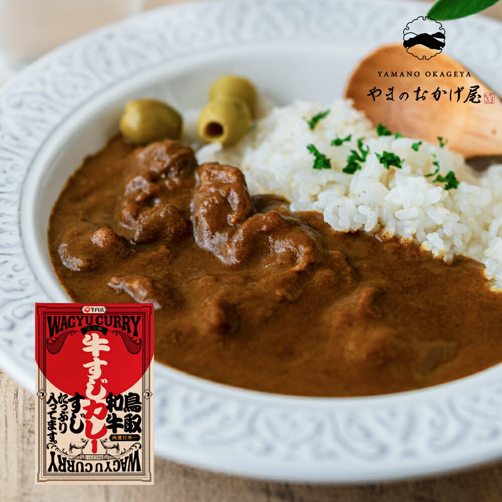 牛すじカレー4個セット