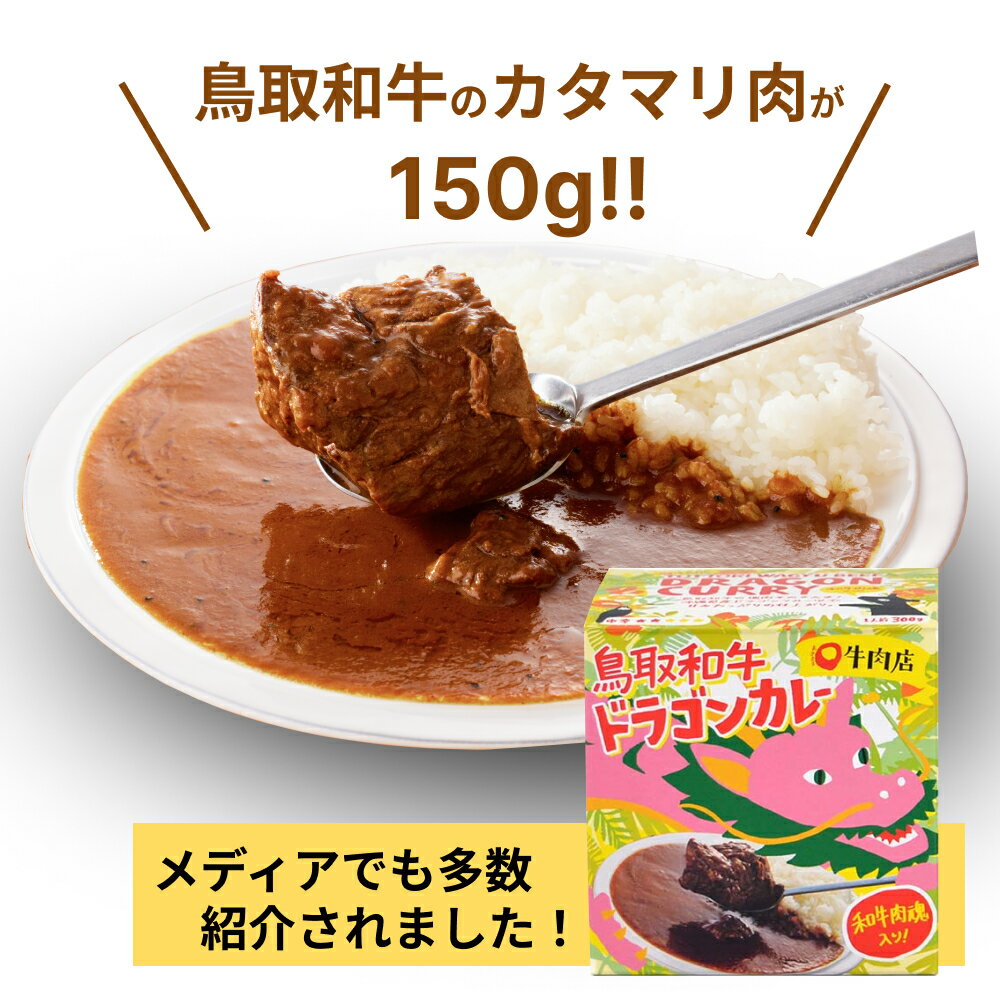 鳥取和牛トロピカルドラゴンカレー 300g 単品　【贈り物 保存食 常温保存 長期保存 詰め合わせ セット おかず 感謝 嬉しい プレゼント 贈答 おもたせ 高級 大人 ご挨拶 パーティ レトルトカレー 御歳暮】