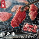 【神戸牛】 焼肉6点盛り (ロース・モモ・カルビなど) 500g 【 専用仕切り箱 焼肉 セット・盛り合わせ 国産牛 国産 牛肉 ご挨拶 新生活 バーベキュー】