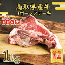 【鳥取県産牛】 ステーキ Tボーンステーキ 1Kg 【 真空パック 焼肉 ステーキ 国産牛 国産 ご挨拶 新生活 バーベキュー】