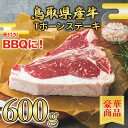 【鳥取県産牛】 ステーキ Tボーンステーキ 600g 【 真空パック 焼肉 ステーキ 国産牛 国産 ご挨拶 新生活 バーベキュー】