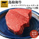 【鳥取和牛】【黒毛和牛】 ステーキ シャトーブリアン ヒレ ヒレステーキ シャトーブリアン 120g×2枚 【 精肉箱・風呂敷付き ステーキ 送料無料 和牛 国...