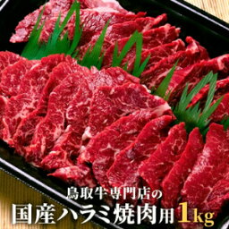 国産鳥取牛ハラミ焼肉用1kg(500gx2)6〜7人分　特製味噌タレ付　【肉 ハラミ 焼肉 バーベキュー 冷凍 食品 お試し 特盛セット BBQ】