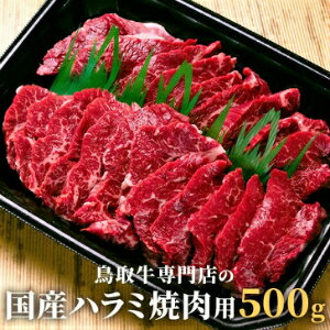 国産鳥取牛ハラミ焼肉用500g2〜3人分　特製味噌タレ付【肉 ハラミ 焼肉 バーベキュー 冷凍 食品 お試し 特盛セット BBQ】