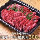 国産鳥取牛ハラミ焼肉用300g1〜2人分 特製味噌タレ付 肉 ハラミ 焼肉 バーベキュー 冷凍 食品 お試し 特盛セット BBQ