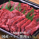 国産鳥取牛ハラミ焼肉用1.5kg(500gx3)6〜7人分　特製味噌タレ付【肉 ハラミ 焼肉 バーベキュー 冷凍 食品 お試し 特盛セット BBQ】