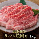 【鳥取和牛】【黒毛和牛】 カルビ 焼肉用 1Kg 特製味噌たれ付き 【 たれ付き トレー 焼肉 和牛 国産牛 国産 牛肉 ご挨拶 新生活 バーベキュー】