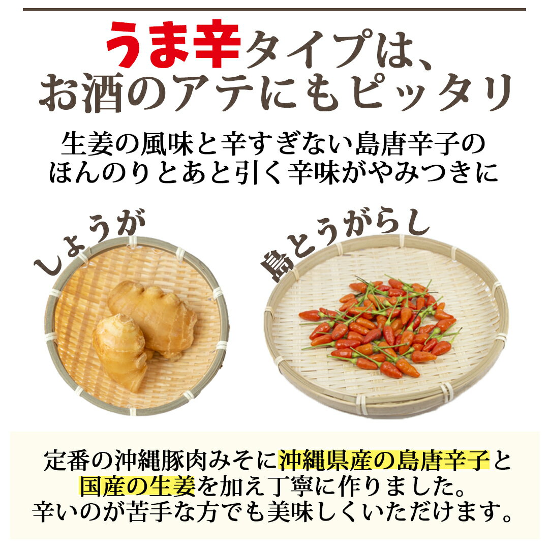 ご飯のお供　沖縄豚肉みそうま辛（100gパック） メール便　送料無料　沖縄味噌　おにぎりの具　肉味噌　おかず味噌　お試し　肉みそ　おうち時間赤マルソウ　ポイント消化　豚みそ　肉みそ　島唐辛子　送料込み　油みそ