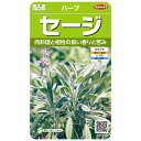 ■赤松種苗セレクト！野菜のタネ■ 地中海に自生する常緑低木の【セージ】です。 強い香りと苦みは脂身の多い肉料理との相性が良く、ソーセージにも利用されます。 またハーブティーの人気も高く、若い葉や花を摘み、生または乾燥させたものを使います。 【種まき】 寒地・寒冷地：5月~6月頃 温暖地：4月~5月頃 暖地：3月中旬~5月頃 【生産地】 フランス ※写真はイメージなので 　実際とは異なる場合が 　ございます。 　御了承下さい。 サカタのタネ コモンセイジ セイジ サルビア 薬用サルビア オーガニック ハーブ 室内 栽培 香味野菜 キッチンファーム キッチンハーブ キッチンガーデン ガーデニング ガーデニングハーブ 中華食材 香味野菜 栄養価が高い 健康野菜 健康食材 有機 緑 葉菜 種 ホール 有機 無添加 無農薬 スポーツ 春蒔き 秋蒔き 通年 作りやすい 育てやすい 夏 春 おいしい 変わり種 面白い 対面不要 ポスト投函 伝統野菜 和食 東アジア ペクチン 水溶性 体にいい 青果 丸莢 チャイナ 希少 貴重 唯一無二 タキイ育成 タネのタキイ 種子 作りやすい 耐寒性 耐暑性 寒さに強い 暑さに強い エンツァイ エンサイ 空心菜 珍しい野菜の種 栽培キット セット クウシンサイ 高級食材 面白い野菜の種 珍しい品種 ヨーロッパ野菜 西洋野菜 西洋キャベツ 西洋レタス 洋キャベツ 洋レタス 初心者 家庭菜園 室内菜園 プランター栽培 イエロー 黄緑 黄色 ライトグリーン 楽 暑さに強い 耐暑性 実咲シリーズ 栽培セット