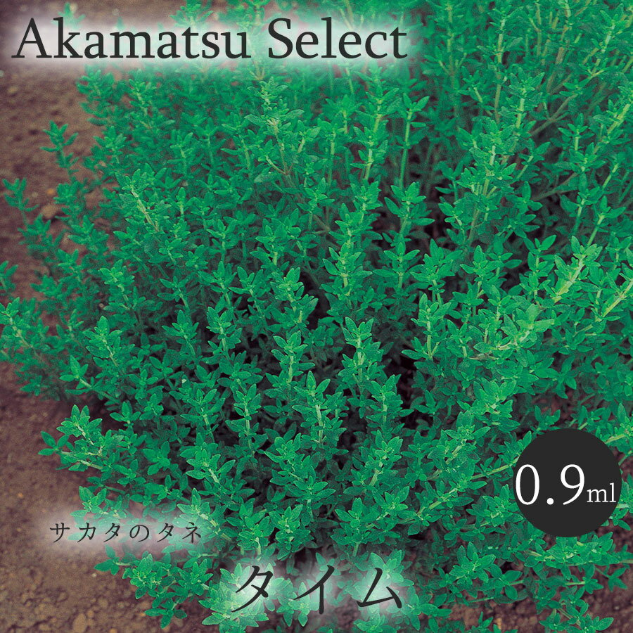 ■赤松種苗セレクト！野菜のタネ■ 地中海料理に欠かせないハーブの定番【タイム】です。 気品のある香りが魚・肉料理によく合い、長時間煮込んでも風味が損なわれない。 ハーブティーやポプリも楽しめて、鮮やかなガーデニングハーブとしてもオススメです。 【種まき】 寒地・寒冷地：4月上旬~6月中旬 温暖地：3月中旬~6月上旬・8月下旬~10月中旬 暖地：3月上旬~5月中旬・8月下旬~10月下旬 【生産地】 フランス ※写真はイメージなので 　実際とは異なる場合が 　ございます。 　御了承下さい。 サカタのタネ タチジャコウソウ スペイン料理 ロンギ カウ リス ク リーピング 地中海 フーズ ハーブ 室内 栽培 香味野菜 キッチンファーム キッチンハーブ キッチンガーデン ガーデニング ガーデニングハーブ 中華食材 香味野菜 栄養価が高い 健康野菜 健康食材 有機 緑 葉菜 種 ホール 有機 無添加 無農薬 スポーツ 春蒔き 秋蒔き 通年 作りやすい 育てやすい 夏 春 おいしい 変わり種 面白い 対面不要 ポスト投函 伝統野菜 和食 東アジア ペクチン 水溶性 体にいい 青果 丸莢 チャイナ 希少 貴重 唯一無二 タキイ育成 タネのタキイ 種子 作りやすい 耐寒性 耐暑性 寒さに強い 暑さに強い エンツァイ エンサイ 空心菜 珍しい野菜の種 栽培キット セット クウシンサイ 高級食材 面白い野菜の種 珍しい品種 ヨーロッパ野菜 西洋野菜 西洋キャベツ 西洋レタス 洋キャベツ 洋レタス 初心者 家庭菜園 室内菜園 プランター栽培 イエロー 黄緑 黄色 ライトグリーン 楽 暑さに強い 耐暑性 実咲シリーズ 栽培セット