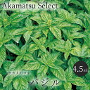  バジル 種子 4.5ml入り