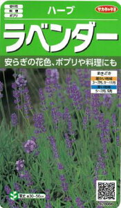 サカタのタネ【ハーブ種子】安らぎのハーブ！ ラベンダー種子 0.1ml入り 種 野菜 種 秋まき 秋 播き タネ たね 野菜種 秋まき野菜 家庭菜園 プランター 菜園 ガーデニング ベランダ 作りやすい 園芸用品 地産地消 初心者 農業 畑 栽培