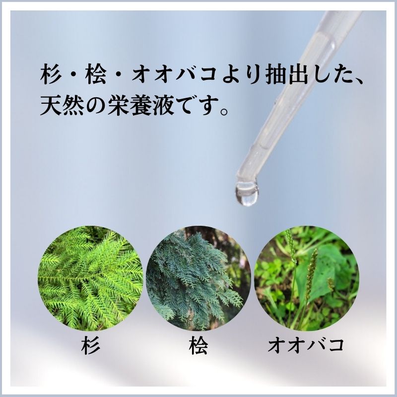 HB101 【 肥料 】植物を元気にする天然植...の紹介画像2