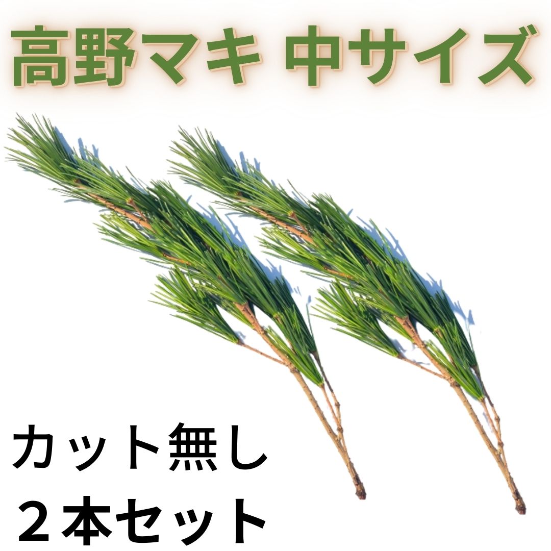 高野マキ（中）2本束【※マキ以外の商品と同梱不可※】