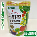 固形肥料 ハイポネックス 今日から野菜 野菜肥料 300g入り 花肥料 家庭菜園 ベランダ栽培 ガーデニング 寄せ植え プランター 追肥 元肥 園芸肥料