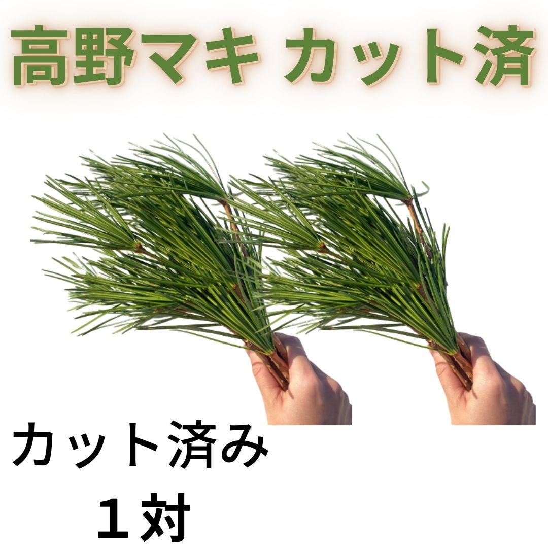 高野マキ中サイズをカットした、一対分の商品です。 カットされている状態でお送りいたします。※長さの指定はお受けできません。 【※※要確認お願いいたします！！※※】 ■長尺商品で、茶紙に巻いてお送りするため、 高野マキ以外の商品と同梱できません。 ■他の商品とのまとめ買い時には、 高野マキ以外の商品の送料と別に、高野マキの個別送料が加算されます。 ■商品の発送は毎月21日のみ。受注の締め切り日が当月15日となります。 （例：1月21日発送分は、1月15日締め切り） 【※翌月21日発送の受注は、発送月の前月16日～発送月の15日まで※】 ーーーーーーーーーーーーーーーーーーー 検品を行い状態の良いものをお送りいたしますが、 高野マキは生もののため商品到着後の返品・交換等はお受けできかねます。 （商品到着の際傷んでいたり枯れているなどの状態の場合のみご対応させていただきます。） 予めご了承の程よろしくお願いいたします。 ーーーーーーーーーーーーーーーーーーー 【※ご注意事項※】 ・種子、苗、球根など、生ものとなる植物の場合、 発芽率や生育・球根の大きさなどに個体差があるため、 交換は原則としてご対応できません。 また、お客様都合による返品・返金、交換は、 原則としてご対応できません。 ただし商品到着時、 気温の変化で生ものが傷んでいた場合や、 配送の際の衝撃などで痛んでいた場合に限り、 ご対応させていただきます。 （商品状態確認のため、 お写真の提供をお願いする場合がございますので、 ご協力お願い致します。） ※写真はイメージなので 　実際とは異なる場合が 　ございます。 　御了承下さい。 ・・・ 暮らしに緑と豊かさを ・・・ 赤松種苗 では、 野菜 や 花 の 種子 を はじめとする、 苗 や 球根 を取り扱っております。また、 農作業 家庭菜園 畑 ベランダ などで 活用 できる 園芸資材 も多数取り揃えております。近年では、 SDGs の取り組みをかかげた商品も増えてきており、当店では、 土にそのまま植えられるポット など サステナブル な商品の販売もしております。取扱い種子として、 F1 品種 や 固定種 伝統野菜 の 種 もございます。 ■春まき 夏野菜 では、 胡瓜 （ きゅうり ・ キュウリ ） トマト （ とまと ） ミニトマト 加熱用トマト 、 茄子 （ なす / なすび ・ ナス / ナスビ ） 苦瓜 （ ごーやー ・ ゴーヤー ）、 ピーマン （ ぴーまん ） 唐辛子 （ とうがらし ・ トウガラシ ）、 西瓜 （ すいか ・ スイカ ） メロン （ めろん ）、 枝豆 （ えだまめ ・ エダマメ ） インゲン （ いんげん ） 刀豆 （ なたまめ ）、 南瓜 （ かぼちゃ ・ カボチャ ） 玉蜀黍 （ とうもろこし ・ トウモロコシ ）、 ■秋まき 冬野菜 では、 ブロッコリー カリフラワー 、 白菜 （ はくさい ・ ハクサイ ） キャベツ （ きゃべつ ）、 大根 （ だいこん ・ ダイコン ） 蕪 （ かぶ ・ カブ ）、 小松菜 （ こまつな ・ コマツナ ） 法蓮草 （ ほうれんそう ・ ホウレンソウ ）、 豌豆 （ えんどう ・ エンドウ ） 空豆 （ そらまめ ・ ソラマメ ）、 玉葱 （ たまねぎ ・ タマネギ ） 人参 （ にんじん ・ ニンジン ）、 牛蒡 （ ごぼう ・ ゴボウ ）、 ラディッシュ （ 二十日大根 ） レタス （ れたす ）、 葱 （ ねぎ ・ ネギ ）、 ■その他 スプラウト種子 では、 かいわれ大根 マスタード アルファルファ グリーンマッペ 豆苗 ルッコラ セサミ 大豆もやし レッドキャベツ などがございます。 また、 ■各種 ハーブ の 種 も取り扱っており、代表的な ローズマリー や バジル をはじめとし、 レモンバーム フェンネル ローゼル ルー アニス セージ ロシアンタラゴン ペパーミント キャラウェイ ミント イタリアンパセリ クラリーセージ キャットニップ ボリジ ディル ダンデライオン （ 食用たんぽぽ ） コモンセージ ルビーバジル クミン コーンフラワー タイム レモンユーカリ ワイルドベルガモット ムスクマロウ タイバジル ローマンカモミール チャイブ ライムバジル ラベンダー スイートバジル レモンキュウリ トル― ホーリーバジル タンジー ルバーブ スープセロリ カモミール ルッコラ クレソン などの メジャーな品種 から マイナー で 珍しい品種 が多数ございます。 ■季節の花 球根 では、 ■冬植え 春植え 夏咲き は、 ダリア グラジオラス ネリネ ゼフィランサス サンダーソニア グロリオサ ジンジャー ■夏植え 秋植え 冬咲き 春咲き は、 サフラン テッポウユリ （ 鉄砲百合 ） コルチカム （ イヌサフラン ） 百合 （ ゆり ・ ユリ ）では 山ユリ や カサブランカ チューリップ アネモネ ラナンキュラス フリージア スノードロップ ■水耕栽培 も可能な 水仙 （ スイセン ・ すいせん ） ヒヤシンス クロッカス ムスカリ などがございます。 ■山野草 では、 ヤナギラン シラネアオイ ヒトリシズカ 日本カタクリ 黒百合 福寿草 （ ふくじゅそう ） ニリンソウ （ 二輪草 ） ワレモコウ アヤメ 桜草 紫蘭 などもございます。 ■野菜 の 球根 では、 じゃがいも （ ジャガイモ ） にんにく （ ニンニク ） 山菜 の 種芋 球根 苗 もあり、 菊芋 （ きくいも ）や、 のびる わらび アピオス 行者ニンニク チョロギ ヤーコン コシアブラ 山わさび ふきのとう （ フキノトウ ） 有名 な タラの芽 （ たらの芽 ）や ミョウガ （ みょうが ） くさそてつ （ こごみ ）など幅広く取り扱いをしております。 ■季節ごとに取り扱い商品が変わりますのでぜひ時折チェックしに来てみてください。 （仕入れ状況により毎シーズンは入荷できない商品がある場合がございます。） ■その他当店取り扱い商材・店内商品検索ワード 種　種子　野菜種子　花種子　花球根　きゅうこん　プランター　鉢植え　多年草　菜園キット　栽培セット　肥料　使いやすい肥料　有機肥料　有機質肥料　固形肥料　液体肥料　野菜の肥料　花の肥料　発芽管理道具　発芽管理機械　育苗器　温度管理資材　花水耕栽培　水耕栽培容器　水栽培　ガラス瓶　発根肥料　野菜の土　花の土　花と野菜の土　野菜培養土　花培養土　花と野菜の培養土　土壌改良材　家庭菜園　簡単　キット　ベランダ菜園　プランター栽培　初心者　環境にやさしい