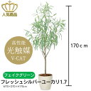 【送料無料】 人工観葉植物 フェイクグリーン フレッシュシルバーユーカリ1.7 2330A500-47 ［ W70×D70×H170cm ］ 光の楽園