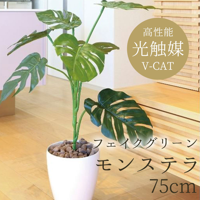 【送料無料】 光触媒 人工観葉植物 フェイクグリーン モンステラ75 225K120-52 ［ W60×D60×H75cm ］ 光の楽園