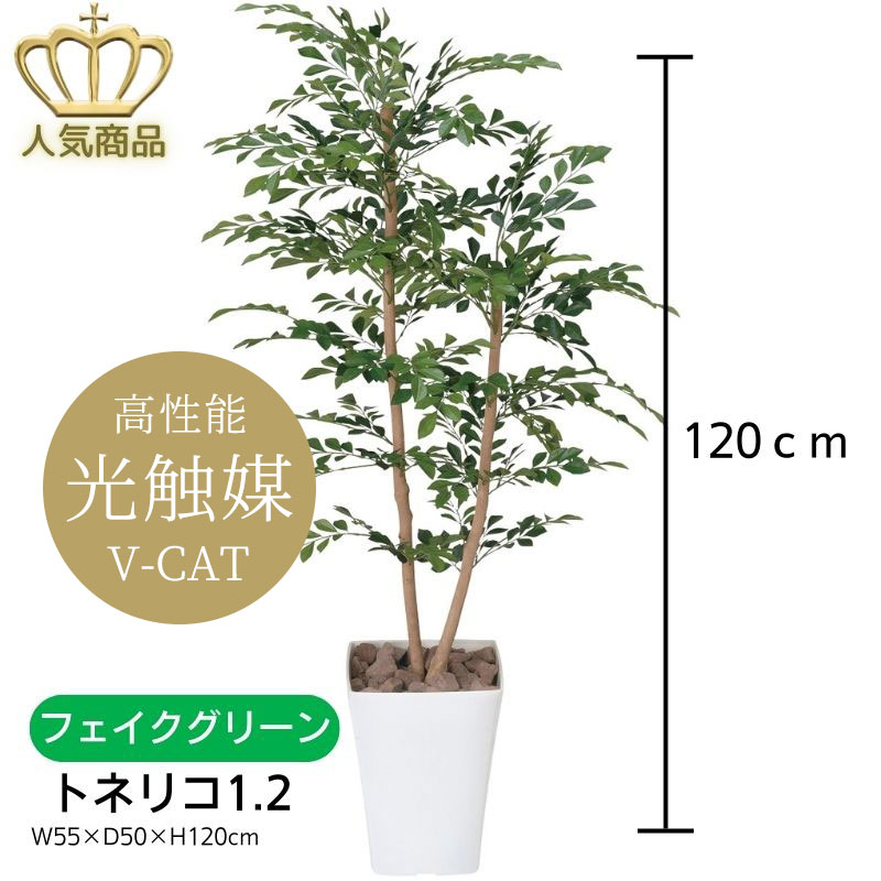 【送料無料】 人工観葉植物 フェイクグリーン トネリコ1.2 184B200-56 ［ W55×D50×H120cm ］ 光の楽園