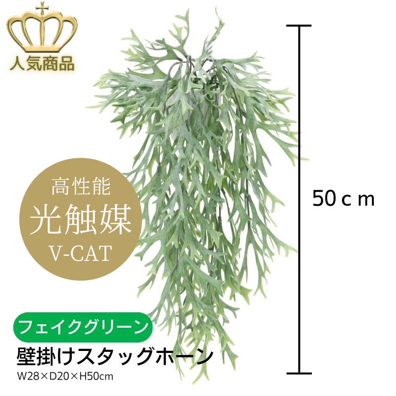 人工観葉植物 フェイクグリーン 壁掛けスタッグホーン(ポリ製) 882A35-71 ［ W28×D20×H50cm ］ 【※要確認※】 こちらの商品はメーカー直送商品です。 受注後、組み立て後に発送の為 納品までに約10日～2週間程度お日にちを頂戴する場合がございます。 予めご了承くださいませ。 ※配送日時指定のお日にちにご注意ください。 場合によって、お電話やメールにてご連絡させていただくことがございます。 【北海道・沖縄への配送は別途送料がかかります。】 ※ご注文が入りましたら、3営業日以内に、 ご登録いただいているご連絡先に 配送料金をご提示したメールをお送りいたします。 内容をご確認いただき、ご了承いただけましたら ご発送のお手続きに移らせて頂きますので、 必ずご返信くださいますようお願いいたします。 ■なお、配送料金のご連絡が指定日までに ご返信いただけなかった場合、 ご注文がキャンセルとなりますこと 予めご了承くださいませ。 ※商品の性質状、2個以上のご注文は 2個口以上でのご発送となる場合がございます。 【キャンセル・返品・交換について】 ※メーカー直送商品のため、通常商品との条件と異なります。 ご注文前に必ずご確認ください。 ■原則、お客様都合による返品・返金・交換のご対応は出来かねます。 ■当商品は、完全受注生産となっており、 「注文確定」後の、キャンセルはお受け出来兼ねます。 予めご了承くださいませ。 ■商品到着後、不具合による対応について 原則、引取り交換※aでの対応となります。 その場合画像判断とさせて頂き、不具合が生じている画像等を送って頂き、 引取り交換での対応か等を決定いたします。 ※なお、葉材・花材、取れや汚れの場合 →その部分の葉材や花材を送らせて頂きお客様の方で 交換して頂く事も御座います。その場合、説明書等を同梱いたします。 　※a引取り交換とは→同じ商品をお客様宛へ弊社から直送し、 　外箱に返送分の送状を貼っておりますので、 商品を外箱に入れ替えて運送業者へ渡して頂くシステムです。 運賃は弊社にて負担させて頂きます。 ※写真はイメージなので 　実際の色とは異なる場合が 　ございます。 　御了承下さい。 人工観葉植物 観葉植物 鉢 付き 鉢付き 植物 鉢 インテリア フェイクグリーン インテリアグリーン フラワーギフト グリーン インテリアフラワー インテリア フェイク リアル フェイクフラワー アレンジ おしゃれ かわいい モダン スタイリッシュ ナチュラル 人気 初心者 風水 造花 装飾 飾り ディスプレイ グリーンコーディネート お手入れ 不要 水やり不要 倒れにくい 光触媒 CT触媒 消臭 抗菌 防カビ効果 空気清浄 空気 緑視率 プレゼント ギフト 贈物 記念品 贈り物 贈答品 贈呈 贈呈品開店祝 い 新築祝い 引越祝い 引っ越し祝い 開業祝い 設立祝い オープン記念 お祝い 贈答 開店祝い 移転祝い 設立記念 創立記念 お誕生日 プレゼント　誕生日 バースデー 母の日 父の日 敬老の日 還暦祝い 還暦 還暦 喜寿 米寿 古希 傘寿 退職祝い 就職祝い 卒業祝い 結婚祝い 内祝い 結婚式 ブライダル ウエディング 結婚記念日 愛妻の日 結婚祝い 出産祝い 記念日 大きい 高い ロング ミニ 小さい 低い 大型 小型 自宅 玄関 リビング キッチン 寝室 居間 室内 部屋 間仕切り トイレ 模様替え 目隠し 会社 オフィス 事務所 会議室 受付 店舗 モデルルーム ショールーム ホテル レストラン カフェ BAR 枝 葉っぱ 花 葉 樹木 ペット 犬 猫 優しい 対応 雑貨 2023新生活雑貨 ・・・ 暮らしに緑と豊かさを ・・・ 赤松種苗 では、 野菜 や 花 の 種子 を はじめとする、 苗 や 球根 を取り扱っております。また、 農作業 家庭菜園 畑 ベランダ などで 活用 できる 園芸資材 も多数取り揃えております。近年では、 SDGs の取り組みをかかげた商品も増えてきており、当店では、 土にそのまま植えられるポット など サステナブル な商品の販売もしております。取扱い種子として、 F1 品種 や 固定種 伝統野菜 の 種 もございます。 ■春まき 夏野菜 では、 胡瓜 （ きゅうり ・ キュウリ ） トマト （ とまと ） ミニトマト 加熱用トマト 、 茄子 （ なす / なすび ・ ナス / ナスビ ） 苦瓜 （ ごーやー ・ ゴーヤー ）、 ピーマン （ ぴーまん ） 唐辛子 （ とうがらし ・ トウガラシ ）、 西瓜 （ すいか ・ スイカ ） メロン （ めろん ）、 枝豆 （ えだまめ ・ エダマメ ） インゲン （ いんげん ） 刀豆 （ なたまめ ）、 南瓜 （ かぼちゃ ・ カボチャ ） 玉蜀黍 （ とうもろこし ・ トウモロコシ ）、 ■秋まき 冬野菜 では、 ブロッコリー カリフラワー 、 白菜 （ はくさい ・ ハクサイ ） キャベツ （ きゃべつ ）、 大根 （ だいこん ・ ダイコン ） 蕪 （ かぶ ・ カブ ）、 小松菜 （ こまつな ・ コマツナ ） 法蓮草 （ ほうれんそう ・ ホウレンソウ ）、 豌豆 （ えんどう ・ エンドウ ） 空豆 （ そらまめ ・ ソラマメ ）、 玉葱 （ たまねぎ ・ タマネギ ） 人参 （ にんじん ・ ニンジン ）、 牛蒡 （ ごぼう ・ ゴボウ ）、 ラディッシュ （ 二十日大根 ） レタス （ れたす ）、 葱 （ ねぎ ・ ネギ ）、 ■その他 スプラウト種子 では、 かいわれ大根 マスタード アルファルファ グリーンマッペ 豆苗 ルッコラ セサミ 大豆もやし レッドキャベツ などがございます。 また、 ■各種 ハーブ の 種 も取り扱っており、代表的な ローズマリー や バジル をはじめとし、 レモンバーム フェンネル ローゼル ルー アニス セージ ロシアンタラゴン ペパーミント キャラウェイ ミント イタリアンパセリ クラリーセージ キャットニップ ボリジ ディル ダンデライオン （ 食用たんぽぽ ） コモンセージ ルビーバジル クミン コーンフラワー タイム レモンユーカリ ワイルドベルガモット ムスクマロウ タイバジル ローマンカモミール チャイブ ライムバジル ラベンダー スイートバジル レモンキュウリ トル― ホーリーバジル タンジー ルバーブ スープセロリ カモミール ルッコラ クレソン などの メジャーな品種 から マイナー で 珍しい品種 が多数ございます。 ■季節の花 球根 では、 ■冬植え 春植え 夏咲き は、 ダリア グラジオラス ネリネ ゼフィランサス サンダーソニア グロリオサ ジンジャー ■夏植え 秋植え 冬咲き 春咲き は、 サフラン テッポウユリ （ 鉄砲百合 ） コルチカム （ イヌサフラン ） 百合 （ ゆり ・ ユリ ）では 山ユリ や カサブランカ チューリップ アネモネ ラナンキュラス フリージア スノードロップ ■水耕栽培 も可能な 水仙 （ スイセン ・ すいせん ） ヒヤシンス クロッカス ムスカリ などがございます。 ■山野草 では、 ヤナギラン シラネアオイ ヒトリシズカ 日本カタクリ 黒百合 福寿草 （ ふくじゅそう ） ニリンソウ （ 二輪草 ） ワレモコウ アヤメ 桜草 紫蘭 などもございます。 ■野菜 の 球根 では、 じゃがいも （ ジャガイモ ） にんにく （ ニンニク ） 山菜 の 種芋 球根 苗 もあり、 菊芋 （ きくいも ）や、 のびる わらび アピオス 行者ニンニク チョロギ ヤーコン コシアブラ 山わさび ふきのとう （ フキノトウ ） 有名 な タラの芽 （ たらの芽 ）や ミョウガ （ みょうが ） くさそてつ （ こごみ ）など幅広く取り扱いをしております。 ■季節ごとに取り扱い商品が変わりますのでぜひ時折チェックしに来てみてください。 （仕入れ状況により毎シーズンは入荷できない商品がある場合がございます。） ■その他当店取り扱い商材・店内商品検索ワード 種　種子　野菜種子　花種子　花球根　きゅうこん　プランター　鉢植え　多年草　菜園キット　栽培セット　肥料　使いやすい肥料　有機肥料　有機質肥料　固形肥料　液体肥料　野菜の肥料　花の肥料　発芽管理道具　発芽管理機械　育苗器　温度管理資材　花水耕栽培　水耕栽培容器　水栽培　ガラス瓶　発根肥料　野菜の土　花の土　花と野菜の土　野菜培養土　花培養土　花と野菜の培養土　土壌改良材　家庭菜園　簡単　キット　ベランダ菜園　プランター栽培　初心者　環境にやさしい