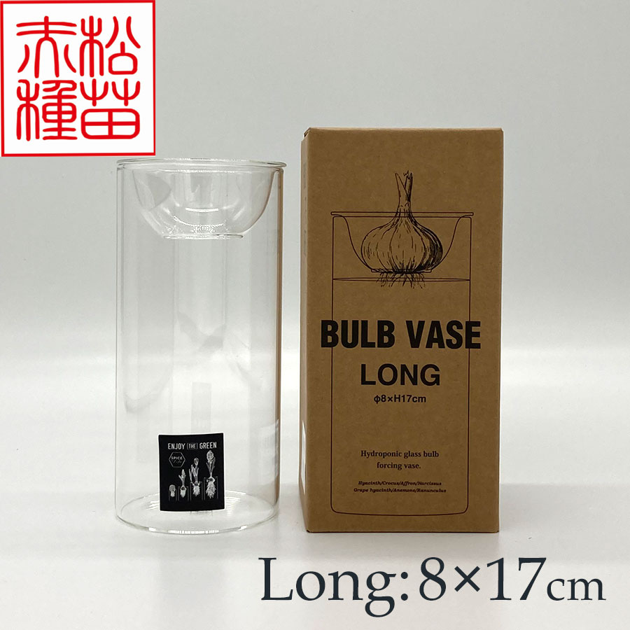 【資材】球根の水栽容器や切花の鑑賞に BULB VASE LONG(ヒヤシンス水栽培用容器)