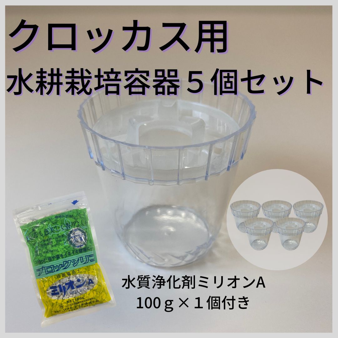 サイズ： 高さ約6．5cm 直径約6cm 1つの容器に対してクロッカス1球入ります。 【セット内容】： ・クロッカス水耕栽培用容器No．1×5個 ・ブロックシリコ ミリオンA100g×1個 ブロックシリコ ミリオンAは、 水耕栽培の水質浄化剤として有効で、 根腐れ防止としてご使用ください。 水耕栽培以外にも土に混ぜ込み使用も可。 根が元気に伸びて、キレイな開花の 手助けとなります。 （※水耕栽培でミリオンAを使用していても 真夏や暑い時期は雑菌の繁殖率が上がるので毎日水替えが必要です。 冬場や涼しい時期でも最低でも週に1回は水替えを 行うようにしてください。） ※写真はイメージなので 　実際の色とは異なる場合が 　ございます。 　御了承下さい。 ・・・ 暮らしに緑と豊かさを ・・・ 赤松種苗 では、 野菜 や 花 の 種子 を はじめとする、 苗 や 球根 を取り扱っております。また、 農作業 家庭菜園 畑 ベランダ などで 活用 できる 園芸資材 も多数取り揃えております。近年では、 SDGs の取り組みをかかげた商品も増えてきており、当店では、 土にそのまま植えられるポット など サステナブル な商品の販売もしております。取扱い種子として、 F1 品種 や 固定種 伝統野菜 の 種 もございます。 ■春まき 夏野菜 では、 胡瓜 （ きゅうり ・ キュウリ ） トマト （ とまと ） ミニトマト 加熱用トマト 、 茄子 （ なす / なすび ・ ナス / ナスビ ） 苦瓜 （ ごーやー ・ ゴーヤー ）、 ピーマン （ ぴーまん ） 唐辛子 （ とうがらし ・ トウガラシ ）、 西瓜 （ すいか ・ スイカ ） メロン （ めろん ）、 枝豆 （ えだまめ ・ エダマメ ） インゲン （ いんげん ） 刀豆 （ なたまめ ）、 南瓜 （ かぼちゃ ・ カボチャ ） 玉蜀黍 （ とうもろこし ・ トウモロコシ ）、 ■秋まき 冬野菜 では、 ブロッコリー カリフラワー 、 白菜 （ はくさい ・ ハクサイ ） キャベツ （ きゃべつ ）、 大根 （ だいこん ・ ダイコン ） 蕪 （ かぶ ・ カブ ）、 小松菜 （ こまつな ・ コマツナ ） 法蓮草 （ ほうれんそう ・ ホウレンソウ ）、 豌豆 （ えんどう ・ エンドウ ） 空豆 （ そらまめ ・ ソラマメ ）、 玉葱 （ たまねぎ ・ タマネギ ） 人参 （ にんじん ・ ニンジン ）、 牛蒡 （ ごぼう ・ ゴボウ ）、 ラディッシュ （ 二十日大根 ） レタス （ れたす ）、 葱 （ ねぎ ・ ネギ ）、 ■その他 スプラウト種子 では、 かいわれ大根 マスタード アルファルファ グリーンマッペ 豆苗 ルッコラ セサミ 大豆もやし レッドキャベツ などがございます。 また、 ■各種 ハーブ の 種 も取り扱っており、代表的な ローズマリー や バジル をはじめとし、 レモンバーム フェンネル ローゼル ルー アニス セージ ロシアンタラゴン ペパーミント キャラウェイ ミント イタリアンパセリ クラリーセージ キャットニップ ボリジ ディル ダンデライオン （ 食用たんぽぽ ） コモンセージ ルビーバジル クミン コーンフラワー タイム レモンユーカリ ワイルドベルガモット ムスクマロウ タイバジル ローマンカモミール チャイブ ライムバジル ラベンダー スイートバジル レモンキュウリ トル― ホーリーバジル タンジー ルバーブ スープセロリ カモミール ルッコラ クレソン などの メジャーな品種 から マイナー で 珍しい品種 が多数ございます。 ■季節の花 球根 では、 ■冬植え 春植え 夏咲き は、 ダリア グラジオラス ネリネ ゼフィランサス サンダーソニア グロリオサ ジンジャー ■夏植え 秋植え 冬咲き 春咲き は、 サフラン テッポウユリ （ 鉄砲百合 ） コルチカム （ イヌサフラン ） 百合 （ ゆり ・ ユリ ）では 山ユリ や カサブランカ チューリップ アネモネ ラナンキュラス フリージア スノードロップ ■水耕栽培 も可能な 水仙 （ スイセン ・ すいせん ） ヒヤシンス クロッカス ムスカリ などがございます。 ■山野草 では、 ヤナギラン シラネアオイ ヒトリシズカ 日本カタクリ 黒百合 福寿草 （ ふくじゅそう ） ニリンソウ （ 二輪草 ） ワレモコウ アヤメ 桜草 紫蘭 などもございます。 ■野菜 の 球根 では、 じゃがいも （ ジャガイモ ） にんにく （ ニンニク ） 山菜 の 種芋 球根 苗 もあり、 菊芋 （ きくいも ）や、 のびる わらび アピオス 行者ニンニク チョロギ ヤーコン コシアブラ 山わさび ふきのとう （ フキノトウ ） 有名 な タラの芽 （ たらの芽 ）や ミョウガ （ みょうが ） くさそてつ （ こごみ ）など幅広く取り扱いをしております。 ■季節ごとに取り扱い商品が変わりますのでぜひ時折チェックしに来てみてください。 （仕入れ状況により毎シーズンは入荷できない商品がある場合がございます。） ■その他当店取り扱い商材・店内商品検索ワード 種　種子　野菜種子　花種子　花球根　きゅうこん　プランター　鉢植え　多年草　菜園キット　栽培セット　肥料　使いやすい肥料　有機肥料　有機質肥料　固形肥料　液体肥料　野菜の肥料　花の肥料　発芽管理道具　発芽管理機械　育苗器　温度管理資材　花水耕栽培　水耕栽培容器　水栽培　ガラス瓶　発根肥料　野菜の土　花の土　花と野菜の土　野菜培養土　花培養土　花と野菜の培養土　土壌改良材　家庭菜園　簡単　キット　ベランダ菜園　プランター栽培　初心者　環境にやさしい