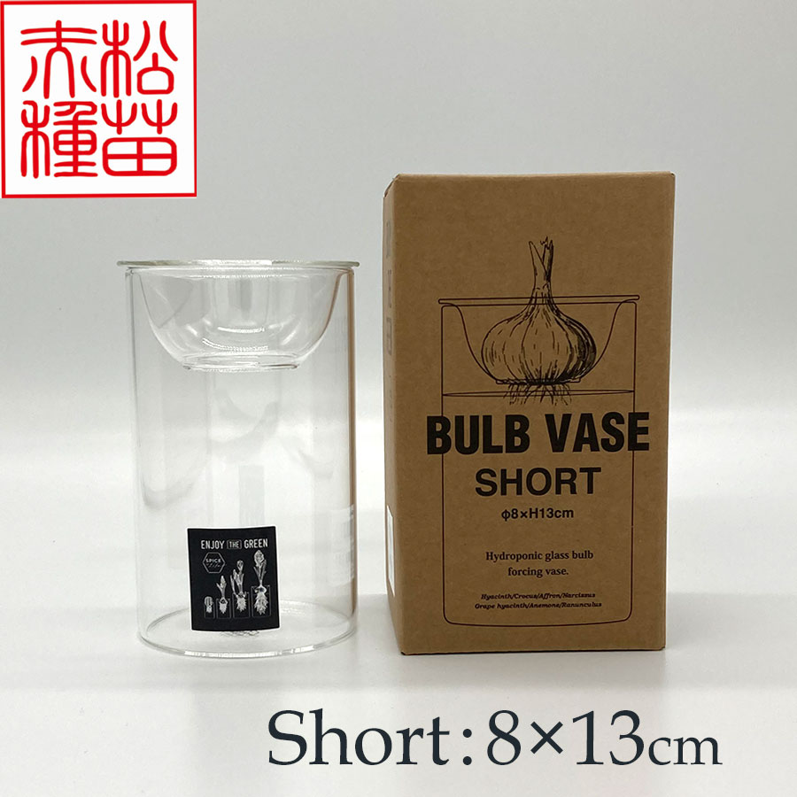 【資材】球根の水栽容器や切花の鑑賞に BULB VASE SHORT(ヒヤシンス水栽培用容器)