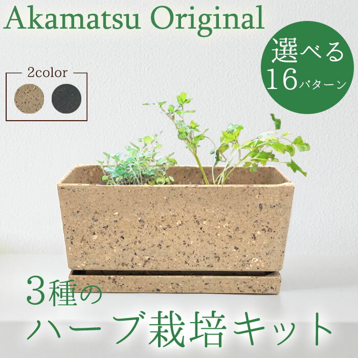 【送料無料】 選べる16テーマ！3種のハーブ栽培キット Akamatsu Original 種から育てるオーガニックハーブ
