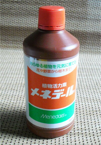 y엿zlf[ 500ml@t̔엿