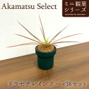 Akamatsu Select K̖ hZiC{[~Zbg 3 RVl